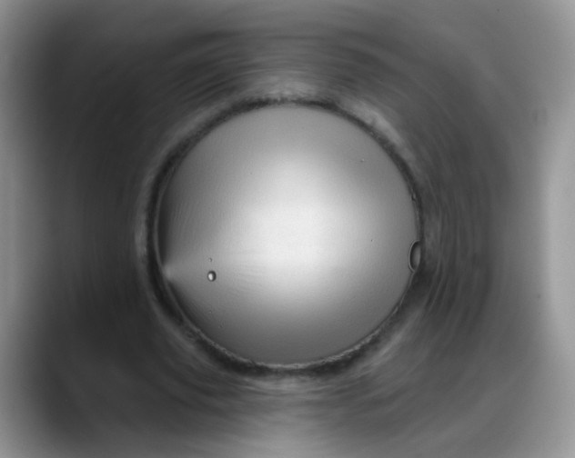 X0000088180629200705291952