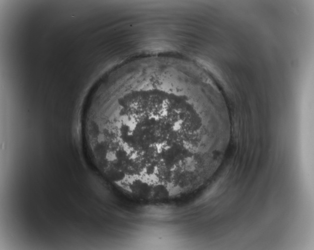 X0000088180630200705291953