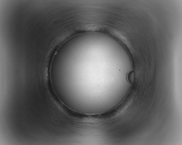 X0000088180633200705291953