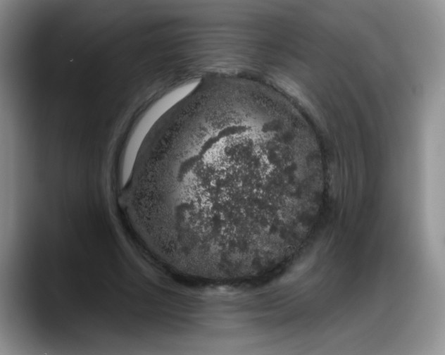 X0000088180634200705291953