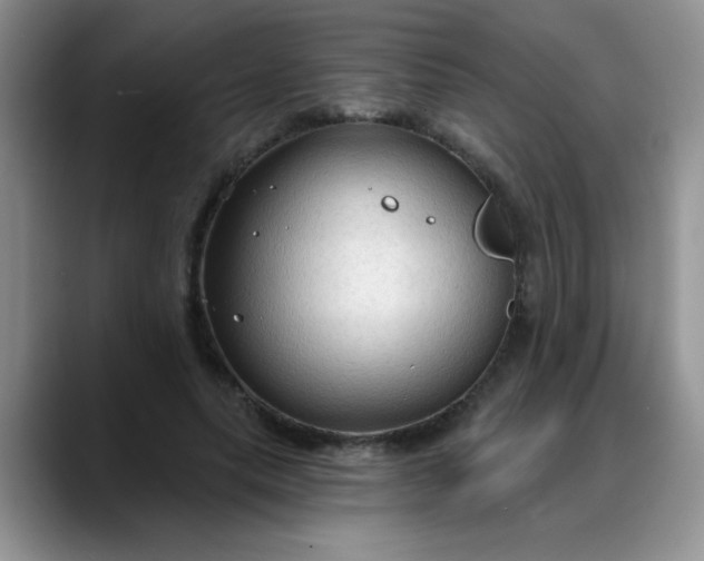 X0000088180639200705291953