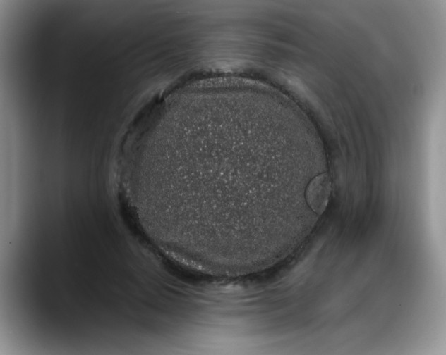 X0000088180640200705291953