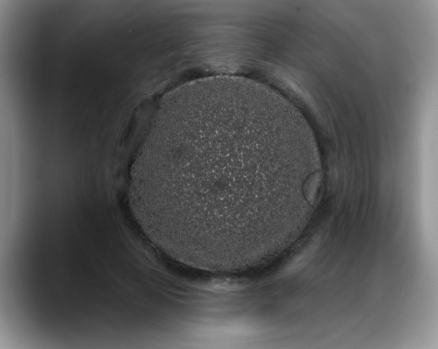 X0000088180641200705291953