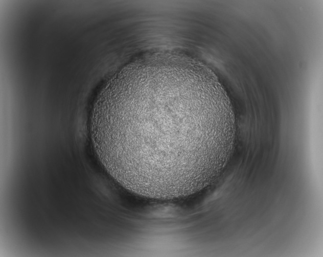 X0000088180642200705291953