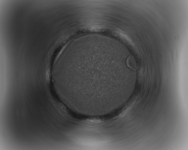 X0000088180644200705291953