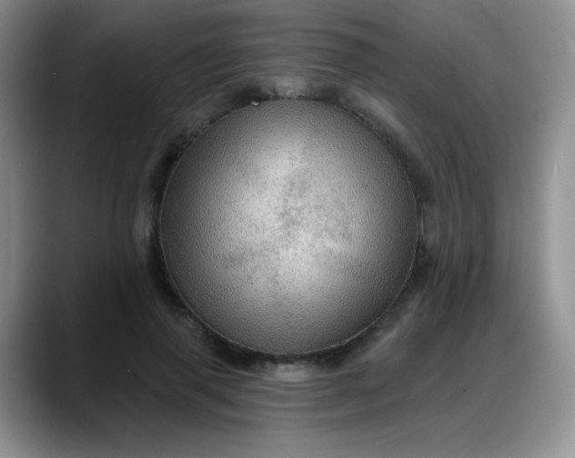 X0000088180645200705291953