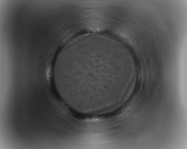 X0000088180647200705291953