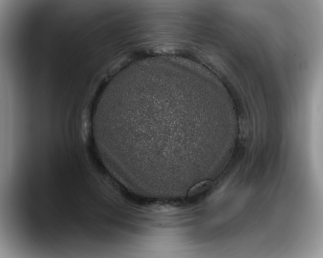 X0000088180648200705291953