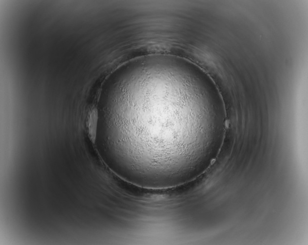 X0000088180649200705291953