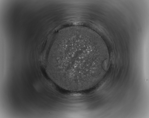 X0000088180650200705291953