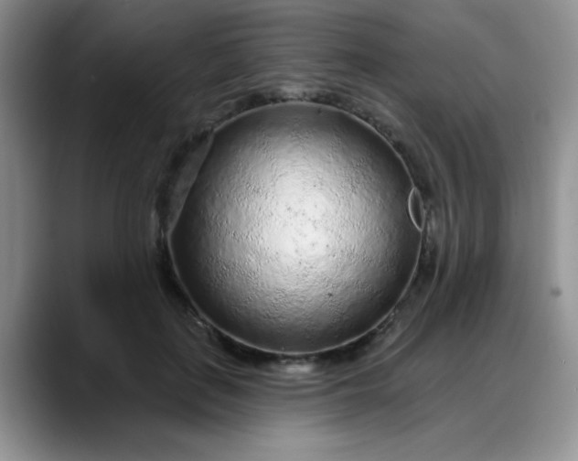 X0000088180651200705291953