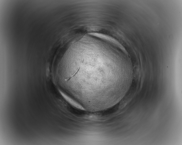 X0000088180655200705291953