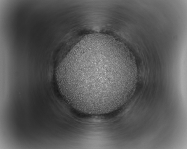 X0000088180656200705291953