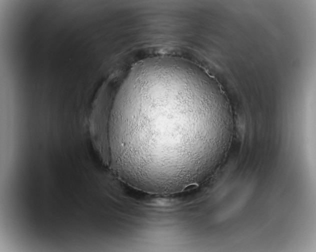 X0000088180657200705291953