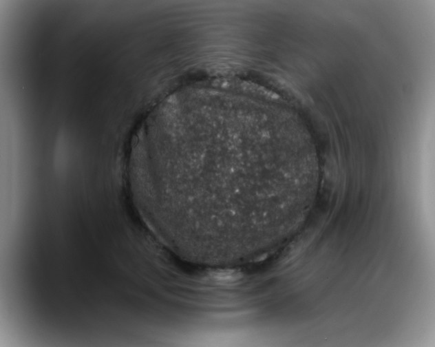 X0000088180659200705291953