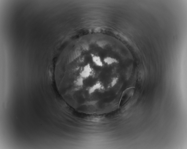 X0000088180661200705291953