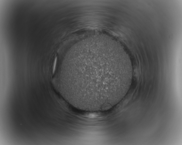 X0000088180662200705291953