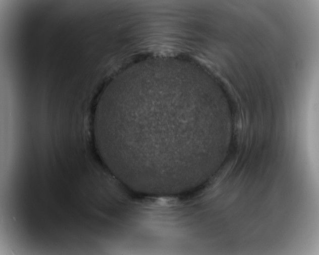 X0000088180663200705291953