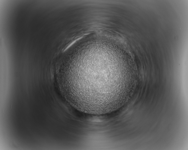 X0000088180664200705291953