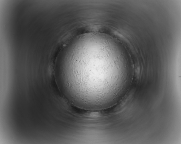 X0000088180665200705291953