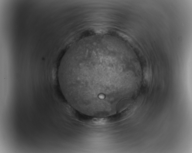 X0000088180667200705291953