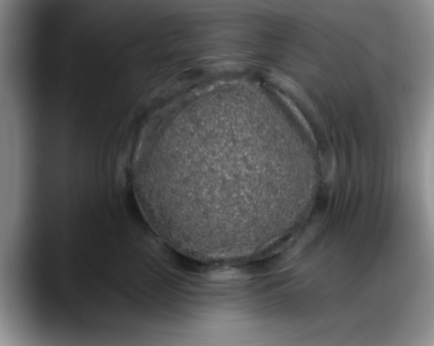 X0000088180669200705291953