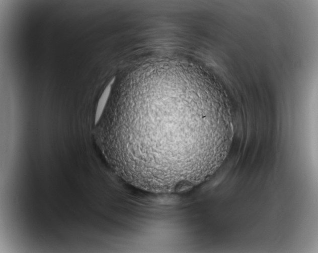 X0000088180670200705291953