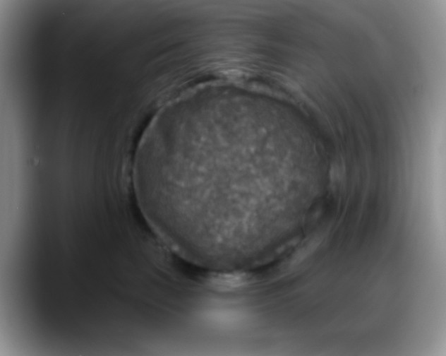 X0000088180671200705291953