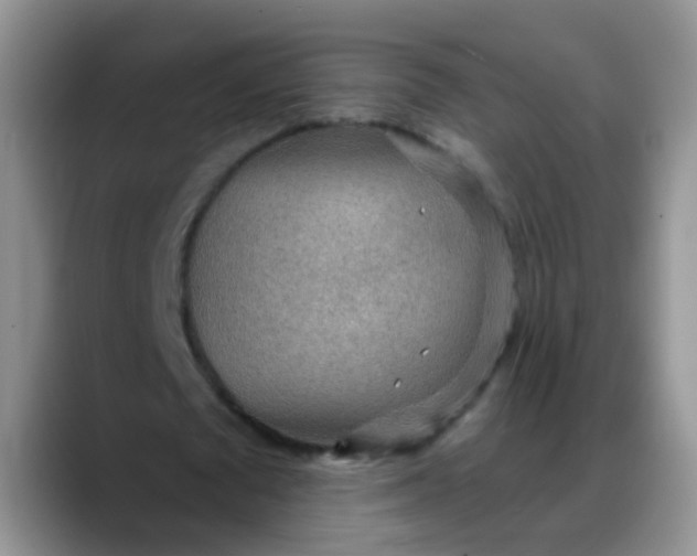 X0000088180673200705291952