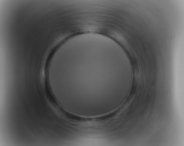 X0000088180674200705291952