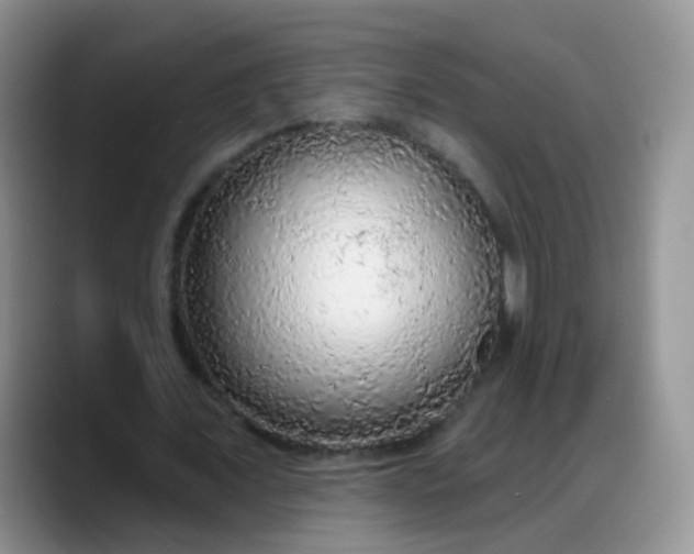 X0000088180675200705291952