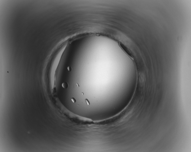 X0000088180676200705291952