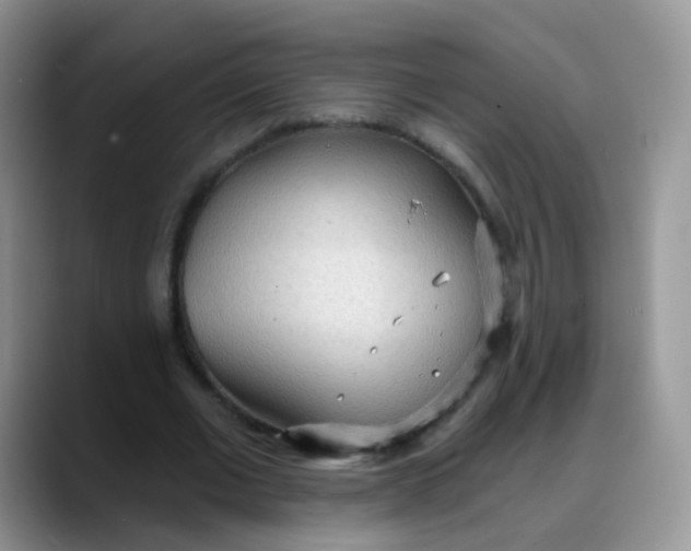 X0000088180677200705291952