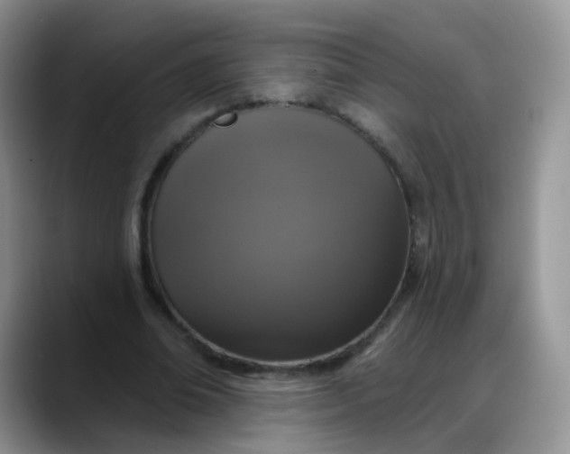 X0000088180678200705291952