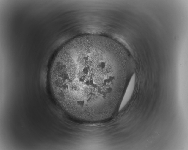 X0000088180679200705291952