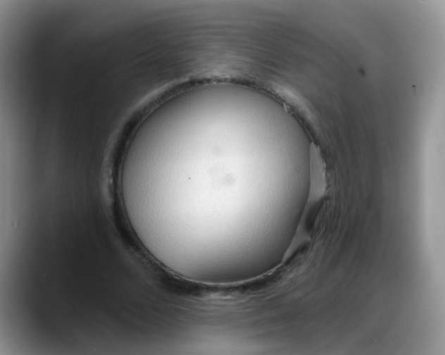 X0000088180680200705291952