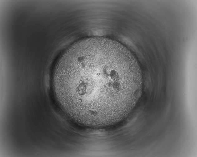 X0000088180683200705291952