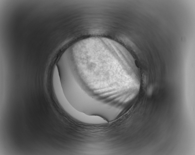 X0000088180684200705291952