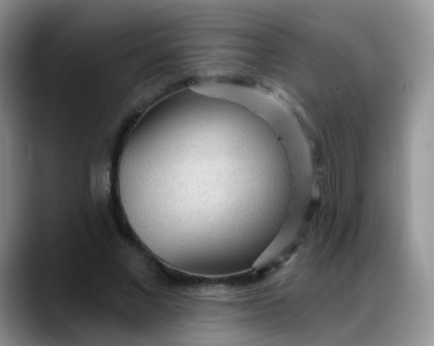 X0000088180685200705291952