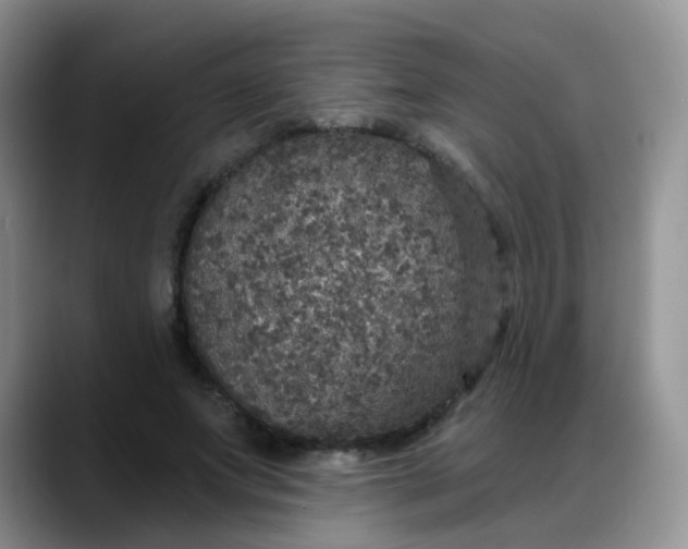 X0000088180687200705291952