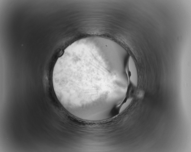 X0000088180688200705291952