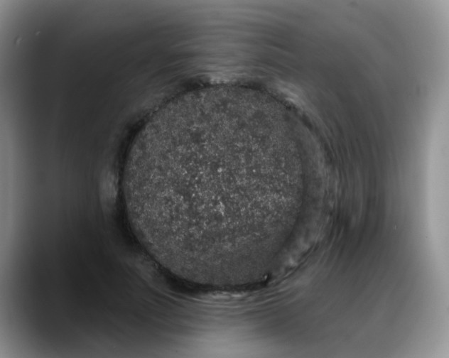 X0000088180691200705291952