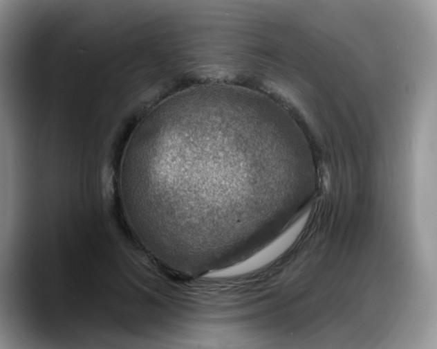 X0000088180692200705291952