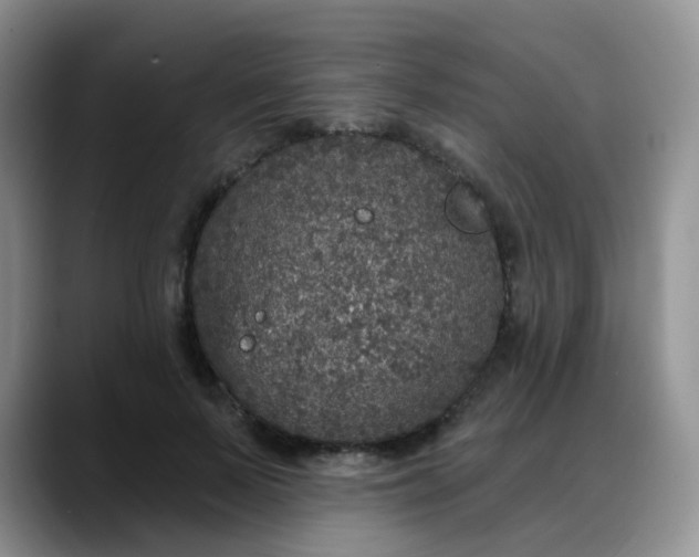 X0000088180695200705291952