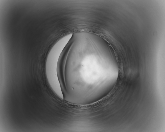 X0000088180696200705291952