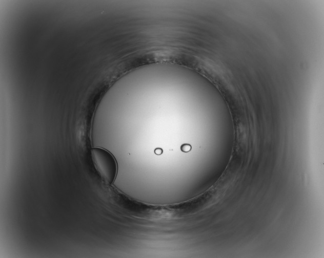 X0000088180698200705291952