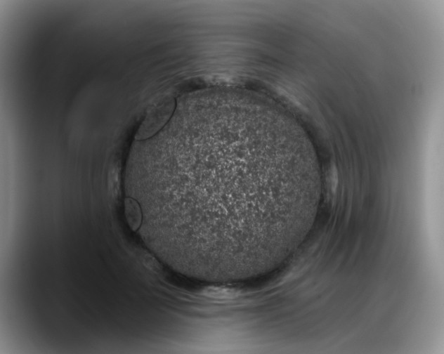 X0000088180699200705291952