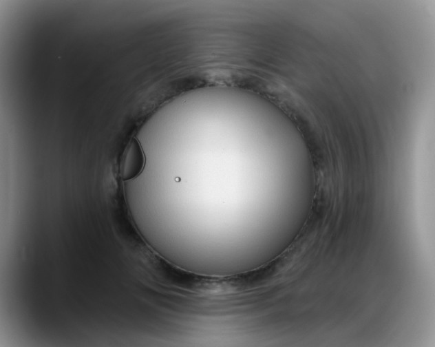 X0000088180702200705291952