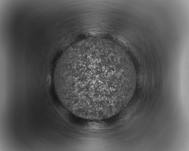 X0000088180703200705291952