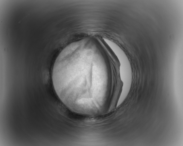 X0000088180704200705291952